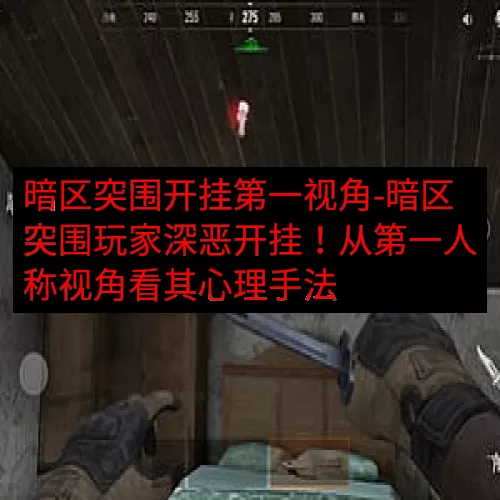 暗区突围开挂第一视角-暗区突围玩家深恶开挂！从第一人称视角看